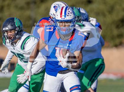 Thumbnail 2 in ThunderRidge @ Cherry Creek (CHSAA 5A Quarterfinals) photogallery.