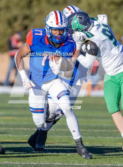 Thumbnail 1 in ThunderRidge @ Cherry Creek (CHSAA 5A Quarterfinals) photogallery.