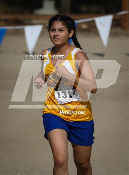 Thumbnail 2 in Masters University Cross Country Invitational photogallery.