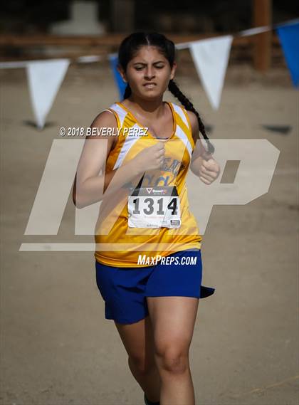 Thumbnail 1 in Masters University Cross Country Invitational photogallery.
