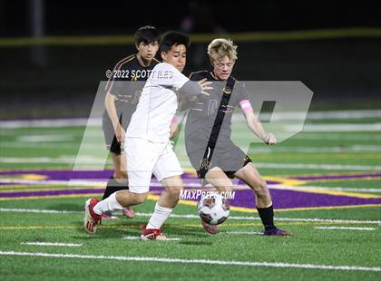 Thumbnail 2 in Whitehall-Yearling vs. Bloom-Carroll (OHSAA D2 District) photogallery.