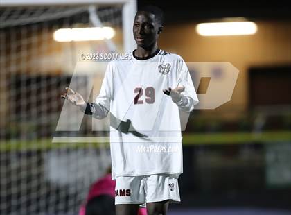 Thumbnail 1 in Whitehall-Yearling vs. Bloom-Carroll (OHSAA D2 District) photogallery.