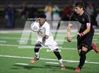 Photo from the gallery "Whitehall-Yearling vs. Bloom-Carroll (OHSAA D2 District)"