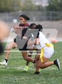 Photo from the gallery "Knight @ Highland"