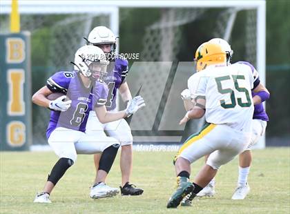 Thumbnail 3 in Ardrey Kell @ Independence photogallery.