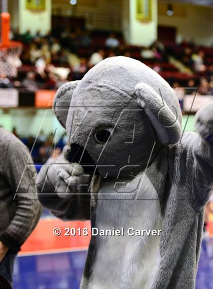 Thumbnail 2 in Albertus Magnus vs Ursuline (Section 1 Class A Semifinal) photogallery.