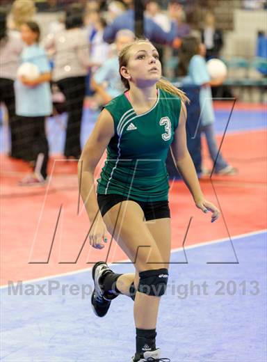 null - Photo 01