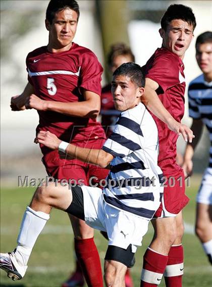 Thumbnail 2 in Bellflower @ Mayfair photogallery.