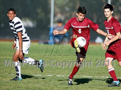 Thumbnail 2 in Bellflower @ Mayfair photogallery.