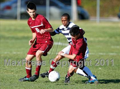 Thumbnail 2 in Bellflower @ Mayfair photogallery.