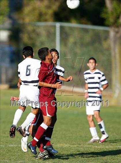 Thumbnail 2 in Bellflower @ Mayfair photogallery.