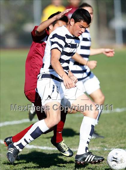 Thumbnail 2 in Bellflower @ Mayfair photogallery.