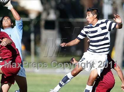 Thumbnail 2 in Bellflower @ Mayfair photogallery.