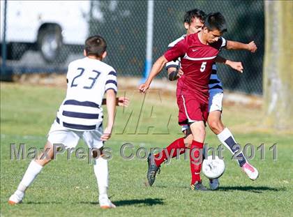 Thumbnail 2 in Bellflower @ Mayfair photogallery.