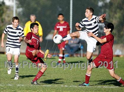 Thumbnail 3 in Bellflower @ Mayfair photogallery.