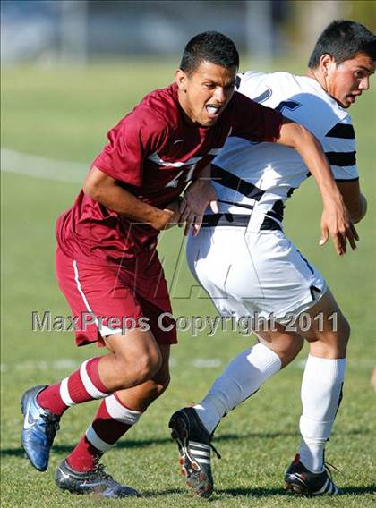 Thumbnail 2 in Bellflower @ Mayfair photogallery.