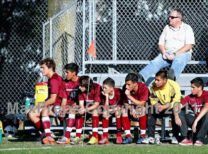 Thumbnail 3 in Bellflower @ Mayfair photogallery.