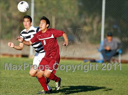 Thumbnail 3 in Bellflower @ Mayfair photogallery.