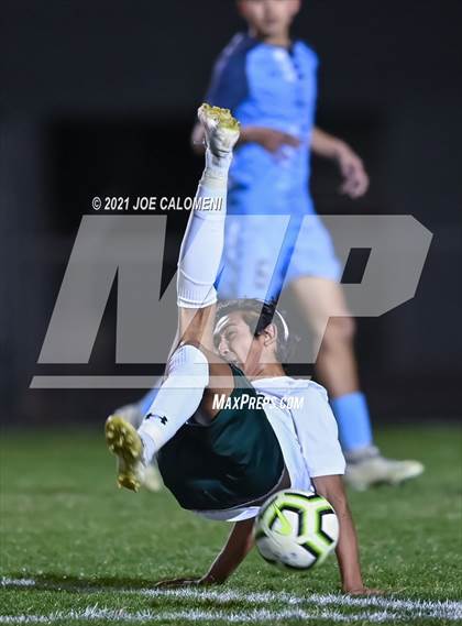 Thumbnail 3 in Reagan [Ronald] vs Johnson photogallery.