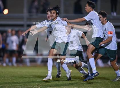 Thumbnail 2 in Reagan [Ronald] vs Johnson photogallery.