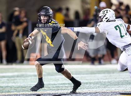 Thumbnail 3 in Basha @ Saguaro photogallery.
