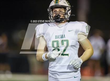 Thumbnail 3 in Basha @ Saguaro photogallery.
