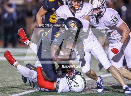 Thumbnail 2 in Basha @ Saguaro photogallery.