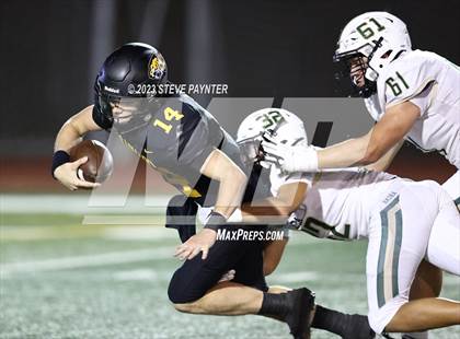 Thumbnail 3 in Basha @ Saguaro photogallery.