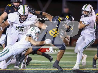 Thumbnail 2 in Basha @ Saguaro photogallery.
