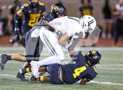 Thumbnail 2 in Basha @ Saguaro photogallery.