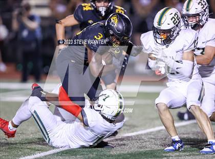 Thumbnail 1 in Basha @ Saguaro photogallery.