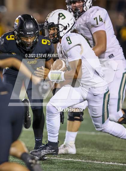 Thumbnail 2 in Basha @ Saguaro photogallery.