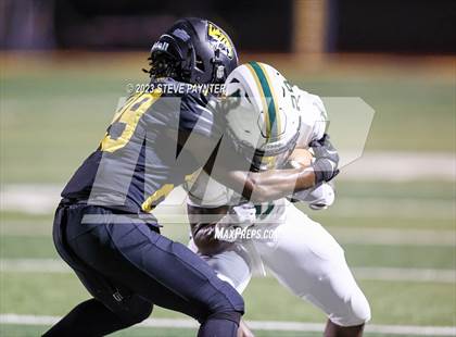 Thumbnail 1 in Basha @ Saguaro photogallery.