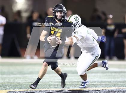 Thumbnail 1 in Basha @ Saguaro photogallery.