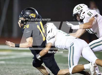 Thumbnail 2 in Basha @ Saguaro photogallery.