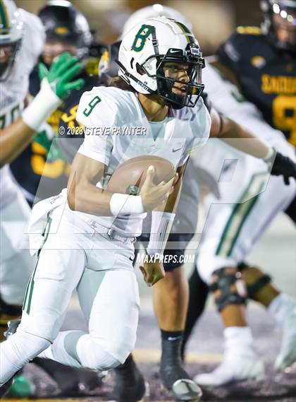 Thumbnail 2 in Basha @ Saguaro photogallery.