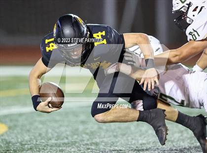 Thumbnail 1 in Basha @ Saguaro photogallery.