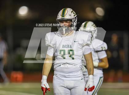 Thumbnail 3 in Basha @ Saguaro photogallery.
