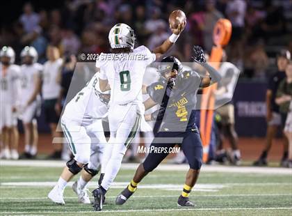 Thumbnail 1 in Basha @ Saguaro photogallery.