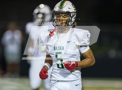 Thumbnail 1 in Basha @ Saguaro photogallery.