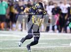 Photo from the gallery "Basha @ Saguaro"