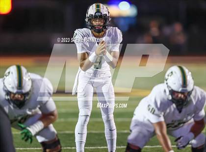 Thumbnail 2 in Basha @ Saguaro photogallery.