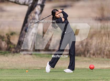 Thumbnail 1 in CIF NCS D2 Girls' Golf Championship  photogallery.