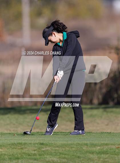 Thumbnail 1 in CIF NCS D2 Girls' Golf Championship  photogallery.