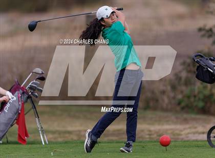 Thumbnail 1 in CIF NCS D2 Girls' Golf Championship  photogallery.