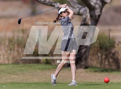 Thumbnail 1 in CIF NCS D2 Girls' Golf Championship  photogallery.