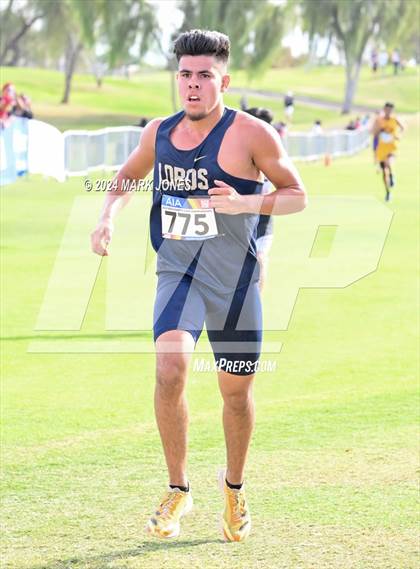 Thumbnail 1 in  AIA Division II Championships photogallery.