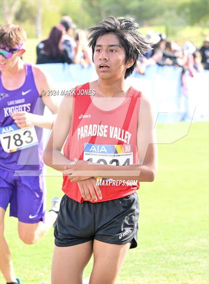 Thumbnail 1 in  AIA Division II Championships photogallery.