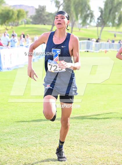 Thumbnail 2 in  AIA Division II Championships photogallery.