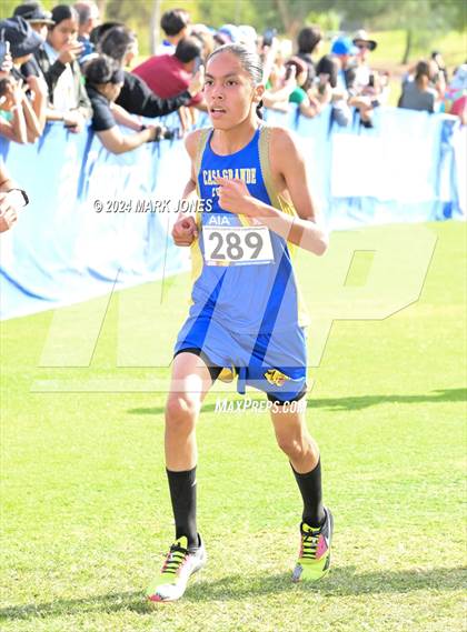 Thumbnail 3 in  AIA Division II Championships photogallery.